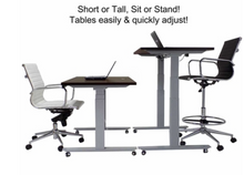 Load image into Gallery viewer, Mobile Electric Lift Height Adjustable Table Desk - 48&quot;W x 24&quot;D