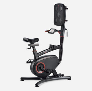 Cycle Boxer - Upright Bike with Boxing Pad