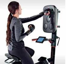 Load image into Gallery viewer, Cycle Boxer - Upright Bike with Boxing Pad